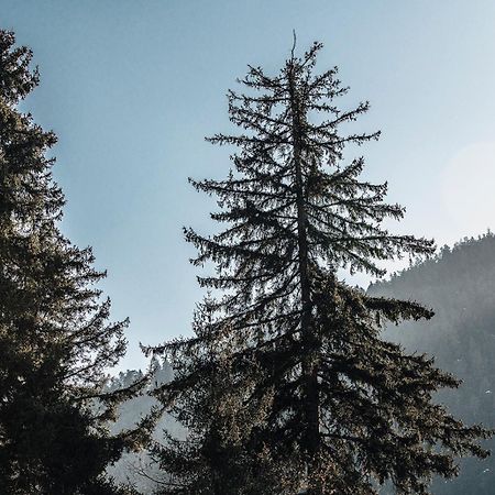 Roombox Likani بورجومي المظهر الخارجي الصورة